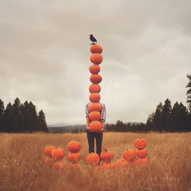 Photo de Joel Robison intitulée Pumpkin Patch