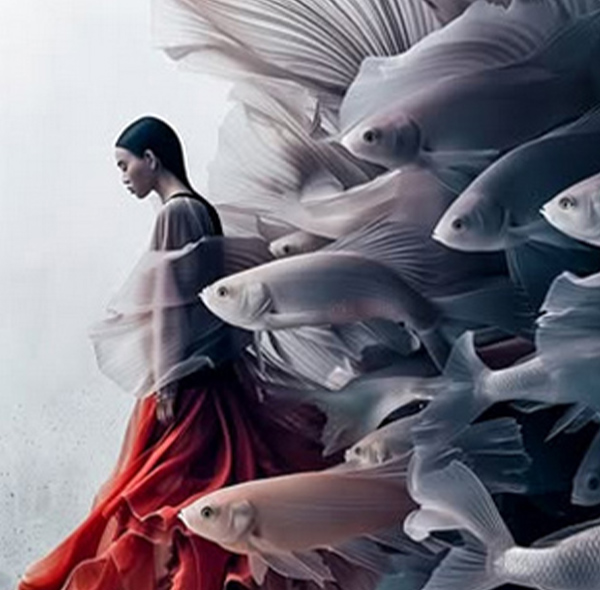Photo de Teo Nguyen intitulée Fish me