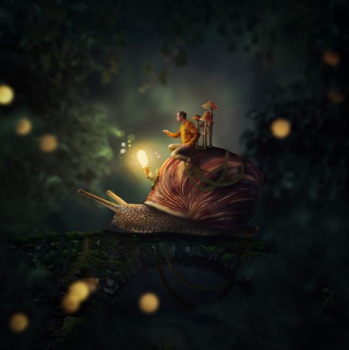 Autoportrait de Joel Robison intitulé Nightwatch in the garden